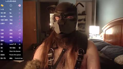 kinkywolf87 online show from December 9, 2024, 8:00 am