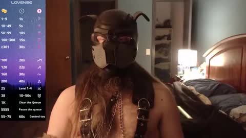 kinkywolf87 online show from December 19, 2024, 12:56 am