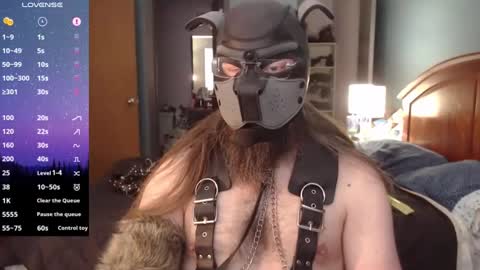 kinkywolf87 online show from December 21, 2024, 6:23 pm