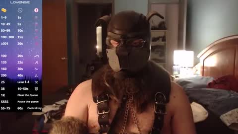kinkywolf87 online show from February 14, 2025, 5:51 am