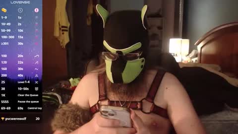 kinkywolf87 online show from June 9, 2026, 11:49 pm