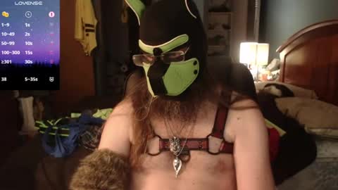Snapshot of kinkywolf87 chatting on June 14, 2026, 10:23 pm kinkywolf87 online show from June 14, 2026, 10:23 pm