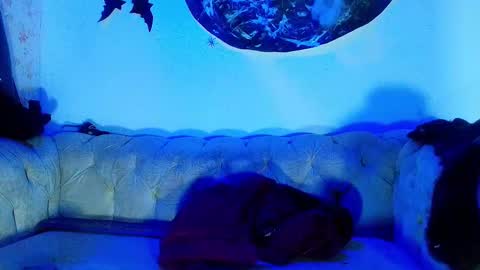 kira online show from October 23, 2025, 11:53 am