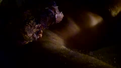 Snapshot of kitkat_loco1 chatting on November 3, 2025, 9:54 am Kitkat loco online show from November 3, 2025, 9:54 am