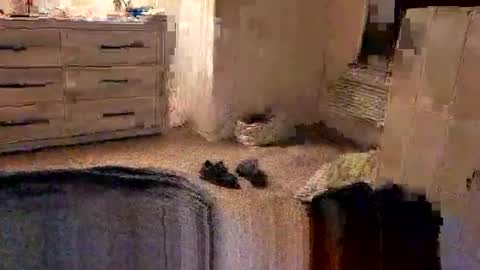 kittykat175154 online show from February 27, 2026, 10:04 am