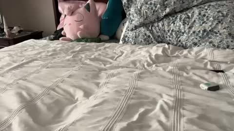 kittypurr79 online show from January 12, 2025, 12:07 am