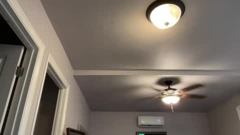 kittypurr79 online show from September 17, 2025, 2:02 am