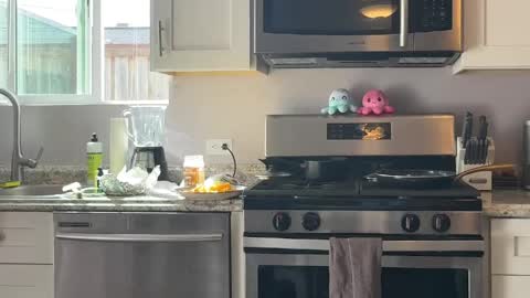 kittypurr79 online show from April 4, 2026, 10:51 pm