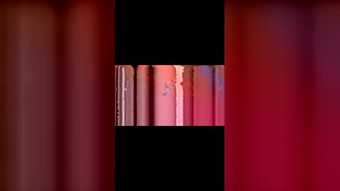 Snapshot of kittypurrrrry chatting on March 2, 2026, 5:31 pm kittypurrrrry online show from March 2, 2026, 5:31 pm