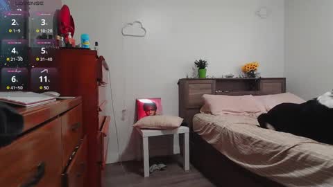 Kittyymaze online show from December 3, 2024, 1:43 pm