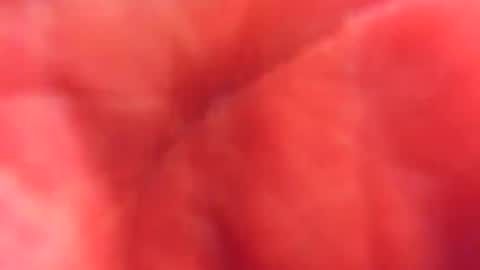 Snapshot of kobayaske chatting on February 15, 2025, 12:15 am kobayaske online show from February 15, 2025, 12:15 am