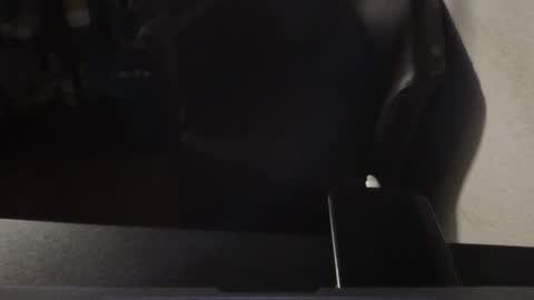 korek878 online show from October 16, 2025, 7:37 pm