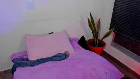 kornicovac online show from December 29, 2024, 10:57 pm