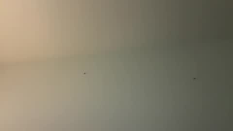 kovapoika online show from October 23, 2025, 10:58 am