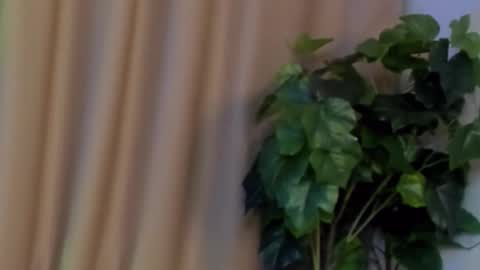 Kristi online show from December 7, 2024, 9:50 am