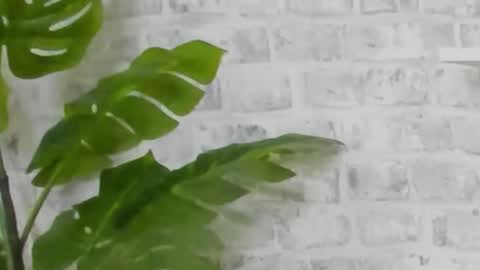 Kristi online show from December 15, 2024, 9:45 am