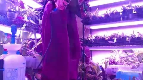 krookedorchid online show from October 30, 2025, 10:06 am