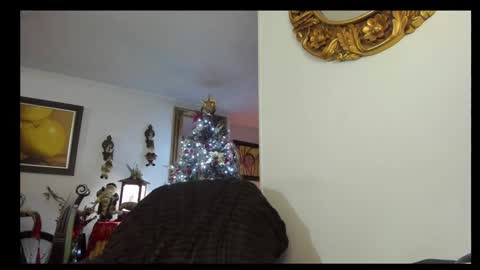 kyhara online show from December 23, 2024, 1:51 am