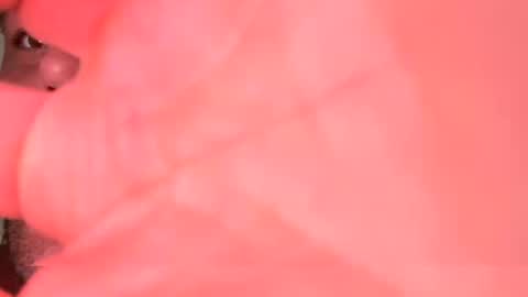 Hotbody545 online show from November 2, 2025, 2:19 pm