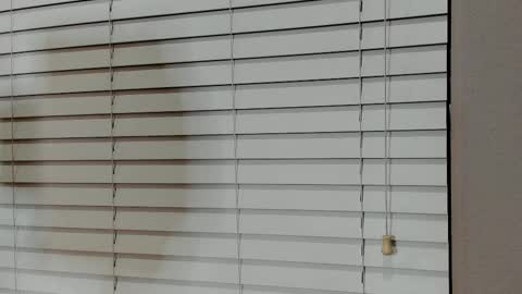 Snapshot of kyliebkillinit chatting on January 14, 2026, 4:07 am Kylie online show from January 14, 2026, 4:07 am