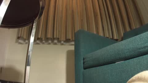 Snapshot of lacub chatting on February 19, 2025, 7:17 am lacub online show from February 19, 2025, 7:17 am