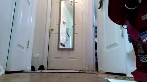 lacybell online show from January 8, 2025, 2:14 am