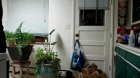 lacybell online show from February 15, 2025, 5:19 am