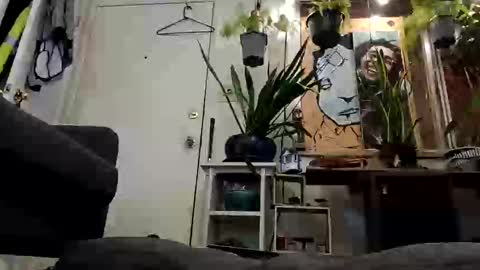 lacybell online show from February 19, 2025, 7:28 am