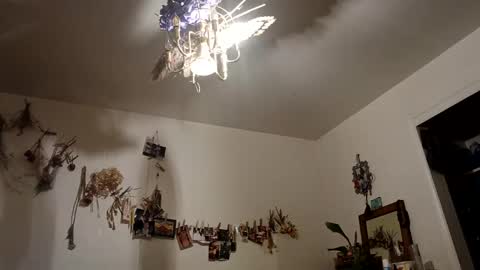 lacybell online show from October 9, 2025, 7:17 am