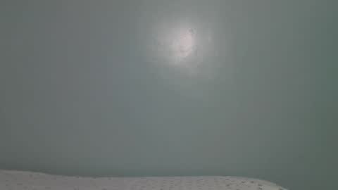 Snapshot of lady_dearra chatting on January 17, 2026, 5:45 am lady_dearra online show from January 17, 2026, 5:45 am