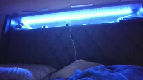 Stephanie online show from February 24, 2025, 5:11 am