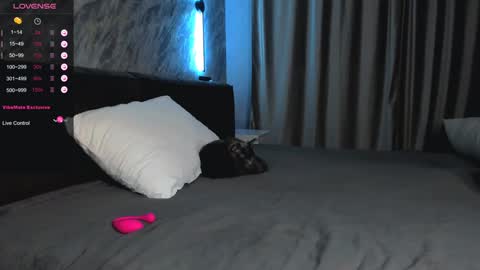 Bella online show from January 28, 2025, 1:49 pm