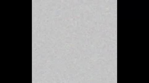  paola and a guest lol    online show from November 13, 2025, 9:30 am