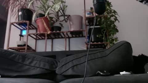 Rick online show from December 11, 2024, 8:26 am