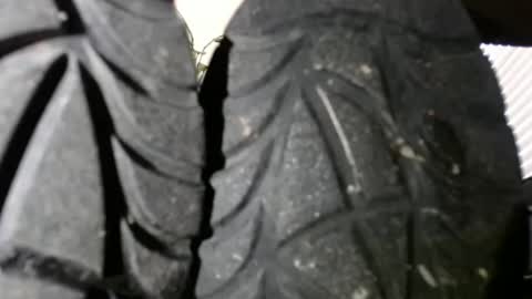 Rick online show from December 14, 2024, 1:49 pm