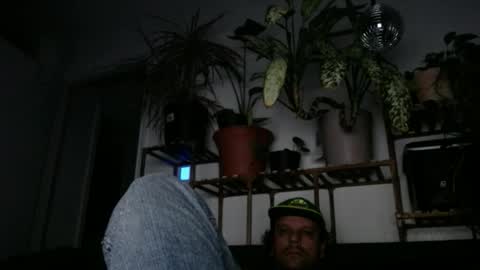 Rick online show from December 18, 2024, 12:21 am