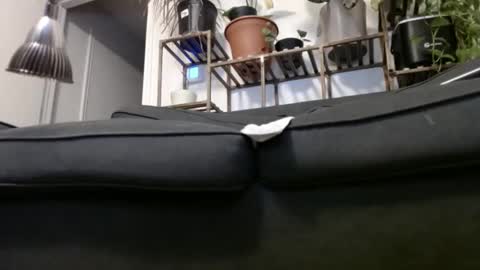 Rick online show from December 23, 2024, 4:33 am