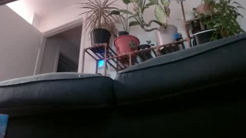 Rick online show from February 1, 2025, 3:08 am