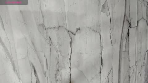 laiily bell online show from November 24, 2025, 1:00 pm