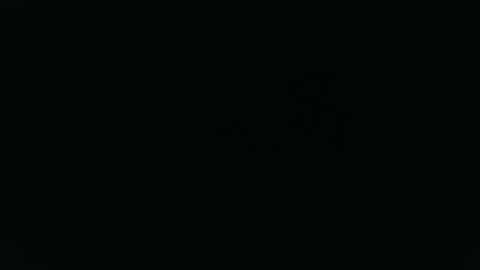 ANNIE online show from January 12, 2026, 12:54 pm