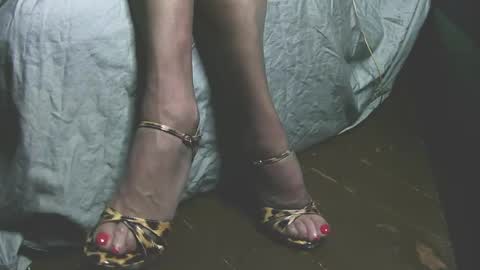 Snapshot of lana_legs53 chatting on May 31, 2026, 5:59 am lana_legs53 online show from May 31, 2026, 5:59 am