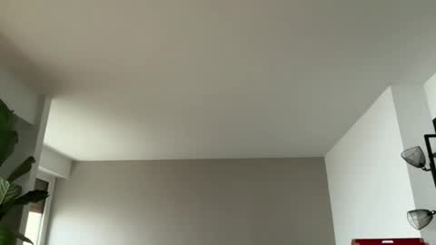 Lanimal online show from February 9, 2026, 8:29 am