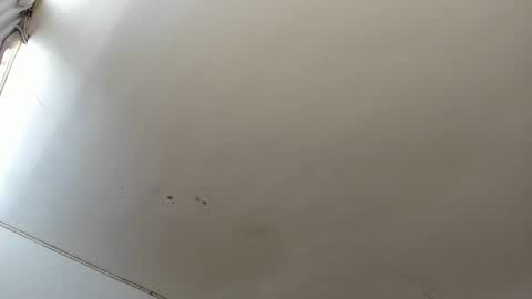 Lara online show from October 23, 2025, 3:44 pm