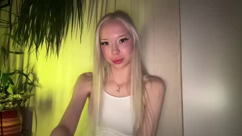 Stella online show from May 24, 2026, 8:14 pm