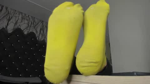  Lari online show from January 7, 2025, 2:42 am