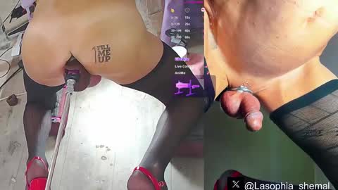 Sophia online show from March 11, 2025, 6:00 am