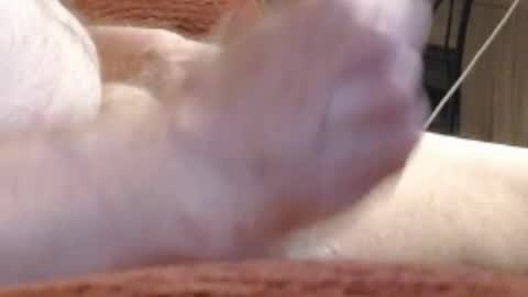 laststeven online show from December 17, 2024, 12:01 am