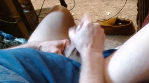 laststeven online show from February 27, 2025, 9:36 pm