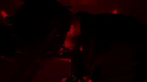 Snapshot of latex__buddy chatting on March 3, 2026, 10:43 am latex__buddy online show from March 3, 2026, 10:43 am