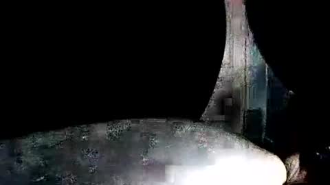 latexchris77 online show from January 7, 2026, 7:55 am